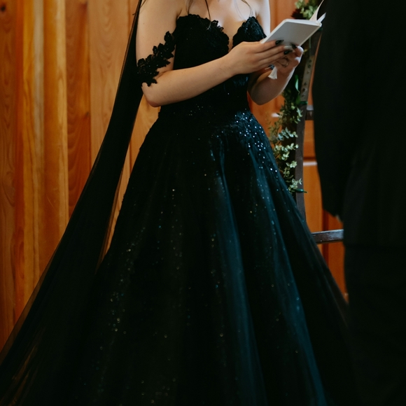 Black Sophia Tolli Wedding Dress - Picture 5 of 8